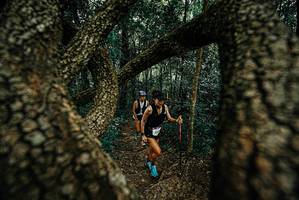 BIB: 
                            <button type="button" onclick="openModal(25668208)" class="btn btn-primary btn-sm float-right btn-popup" data-toggle="modal" data-target=".modal-high-quality">
                        <i class="fas fa-shopping-cart"></i> Add to Cart
                    </button>
                                            <button type="button" onclick="isThisMe(25668208, true)" class="btn btn-success btn-sm float-right btn-popup btn-isme hidden" data-toggle="tooltip" data-placement="bottom" title="นี่คือรูปของคุณใช่ไหม คลิกที่นี่เพื่อเอาเข้าอัลบั้ม">
                        <i class="fas fa-plus"></i> Add to album
                    </button>
                    <button type="button" onclick="isThisMe(25668208, false)" class="btn btn-warning btn-sm float-right btn-popup btn-isnotme hidden">
                        <i class="fas fa-ban"></i> Remove from album
                    </button>